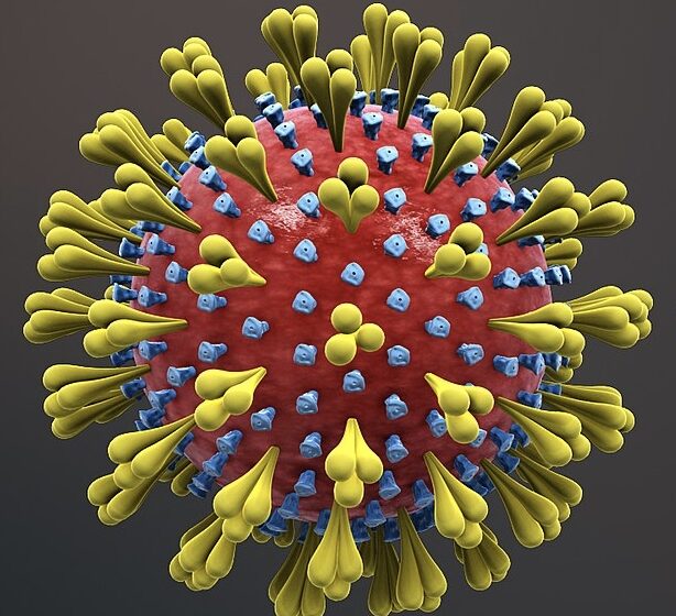  उत्तराखंड में आज मिले कोरोना संक्रमण के 78 नए संक्रमित। 