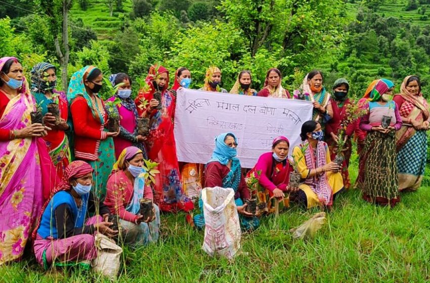  धन सिंह (पेड़ वाले गुरुजी) एवं श्रीमती कुसुमलता गड़िया (अध्यापिका) ने हरेला के अवसर पर राजकीय उच्च प्राथमिक विद्यालय वीणा पोखरी चमोली में वृक्षारोपण किया। 