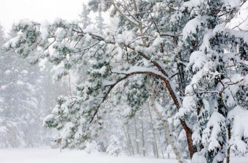 उत्तराखंड में 15 और 16 दिसंबर को ऊंचे इलाकों में हिमपात।