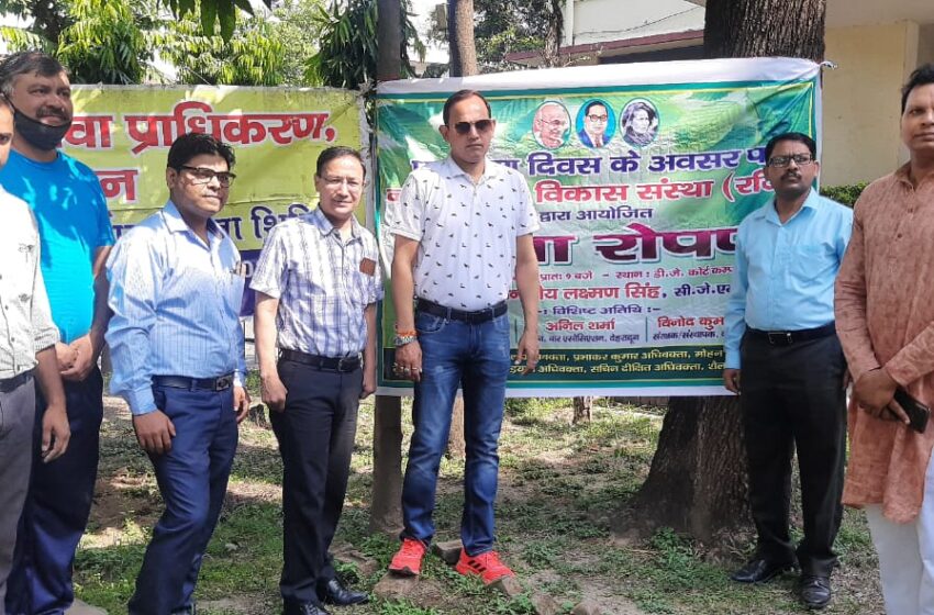  पर्यावरण दिवस पर न्यायालय परिसर देहरादून में पौधारोपण किया गया।