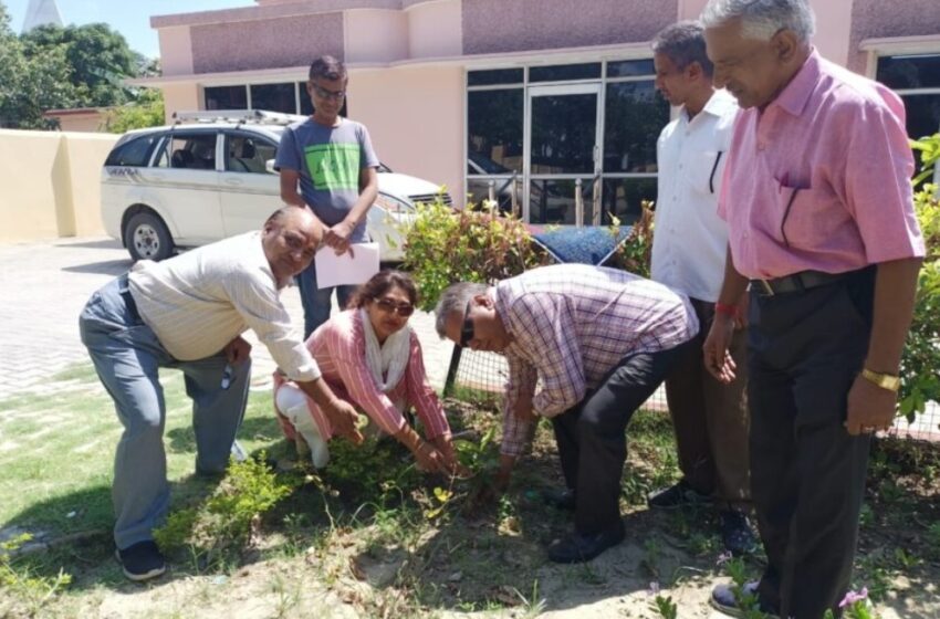 हरेला पर्व के अवसर पर देवभूमि पत्रकार यूनियन ने काशीपुर में पौधा रोपण किया।