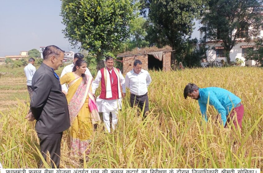  जिलाधिकारी श्रीमती सोनिका ने धान के फसल कटाई प्रयोग का निरीक्षण किया।