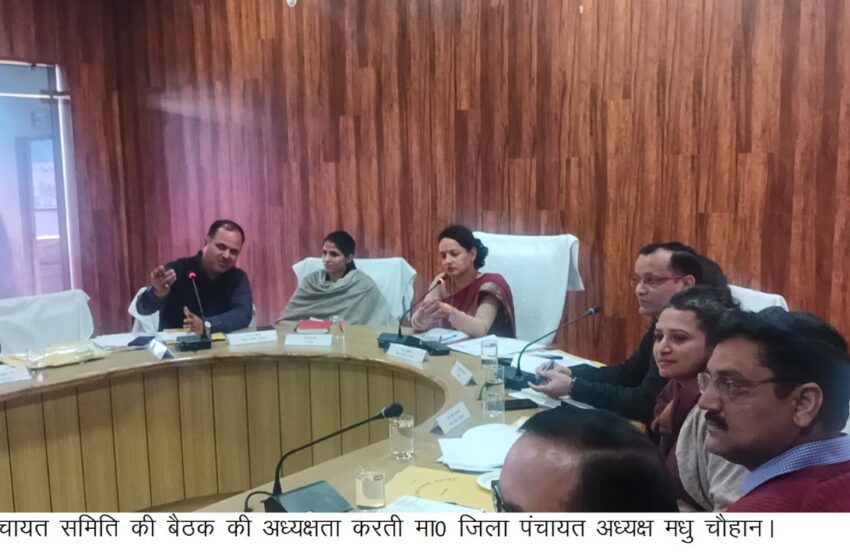  श्रीमती मधु चैहान ने जिला पंचायत सभागार में जिला पंचायत समिति की बैठक आहूत की।