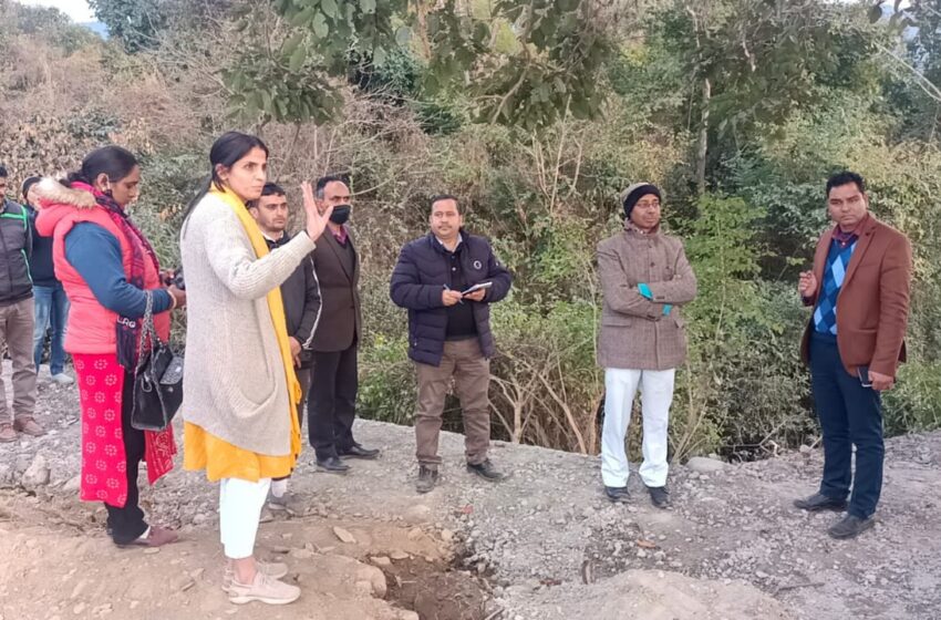  विकासनगर तहसील में सरकारी भूमि पर अवैध अतिक्रमण एवं खुर्द-बुर्द करने तथा निजी भूमि पर अनुमति से अधिक पेड़ काटे गए।