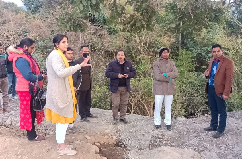  जिलाधिकारी श्रीमती सोनिका ने एनफील्ड टी० कम्पनी विकासनगर में अनुमति से अधिक वृक्षों का पातन किये जाने पर स्थलीय निरीक्षण किया।