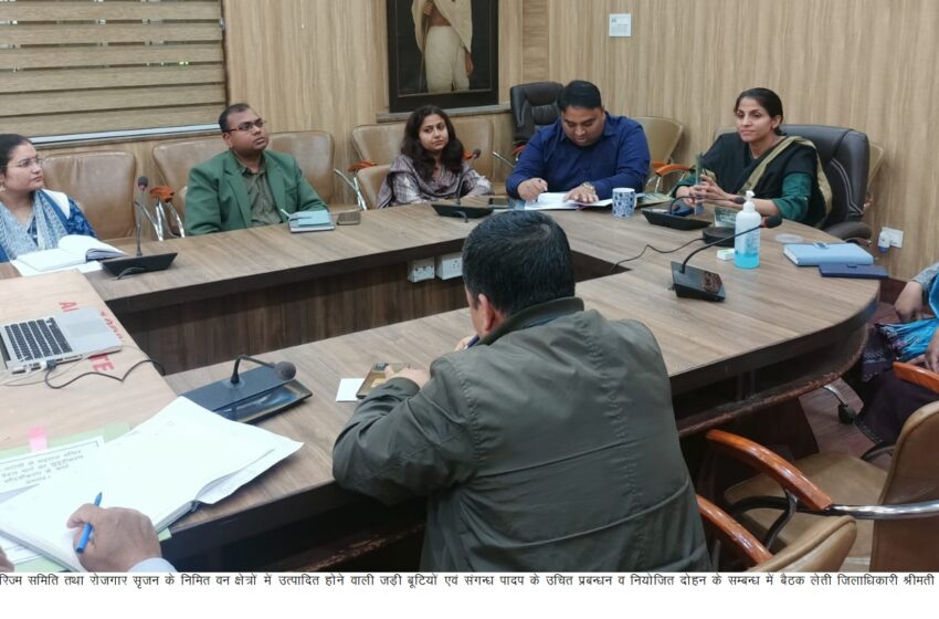  जिलाधिकारी श्रीमती सोनिका ने जिला स्तरीय ईको-टूरिज्म समिति तथा रोजगार सृजन के निमित वन क्षेत्रों में उत्पादित होने वाली जड़ी बूटियों एवं संगन्ध पादप के उचित प्रबन्धन व नियोजित दोहन के सम्बन्ध में बैठक हुई।