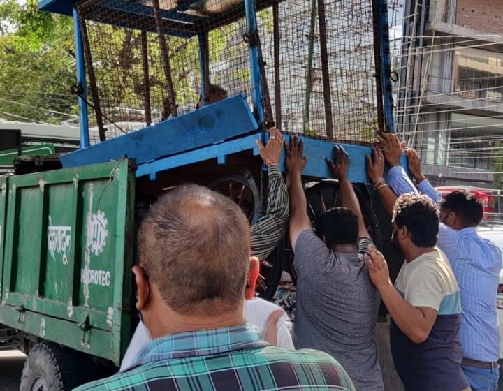  जिलाधिकारी श्रीमती सोनिका के निर्देशन पर आज भी अतिक्रमण हटाए जाने की कार्यवाही की गई।