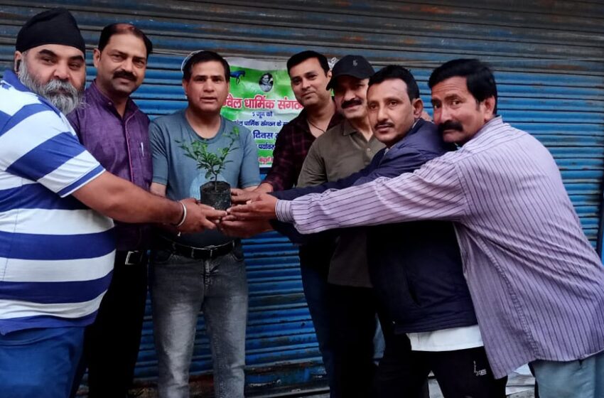  दून न्यूज पेपर एजेंट एसोसियेशन ने पल्टन बाजार सेन्टर में मनाया विश्व पर्यावरण दिवस।