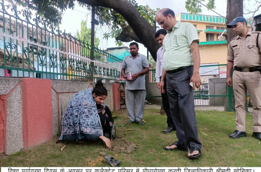 विश्व पर्यावरण दिवस के अवसर पर जिलाधिकारी श्रीमती सोनिका ने कलेक्टेट परिसर में पौधा रोपण किया।