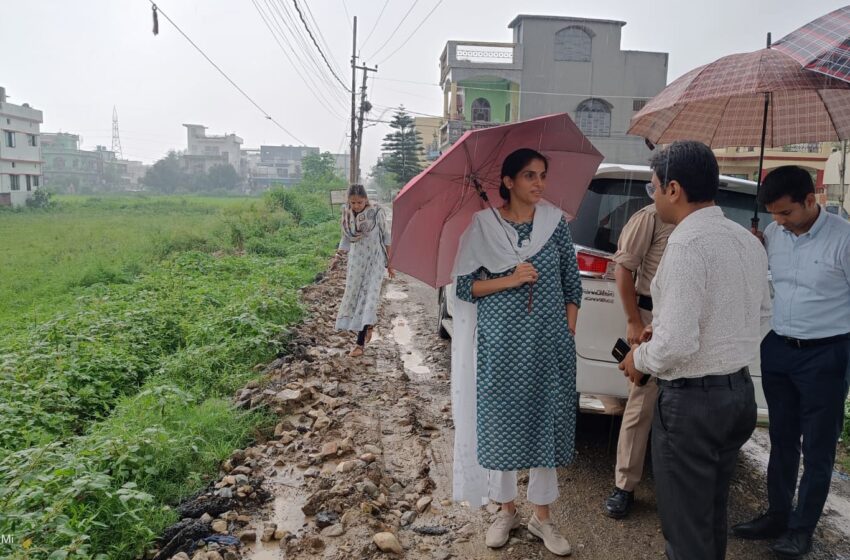  जिलाधिकारी श्रीमती सोनिका ने रिस्पना से बंजारावाला, कारगी चैक, जोगीवाला, 6 नंबर पुलिया, सहत्रधारा क्रॉसिंग , सर्वे चैक, परेड ग्राउंड, राजपुर रोड, प्रिंस चैक, हरिद्वार रोड का निरीक्षण किया।