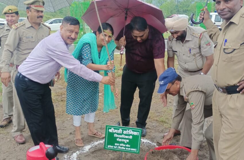  हरेला पर्व के अवसर पर रायपुर में उपस्थित जनप्रतिनिधियों ने वृक्षारोपण किया। 