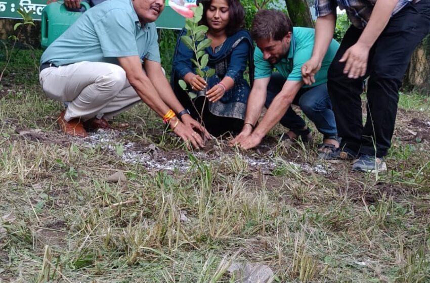  मुख्य विकास अधिकारी सुश्री झरना कमठान एवं मुख्य नगर आयुक्त नगर निगम मनुज गोयल ने वृक्षारोपण किया।