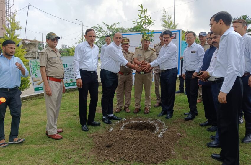  सचिव/वरिष्ठ सिविल जज हर्ष यादव, ने बताया कि माननीय उत्तराखण्ड राज्य विधिक सेवा प्राधिकरण, नैनीताल द्वारा पेड़ों का महत्व एवं वृक्षारोपण एवं पर्यावरण संरक्षण पर एक माह का जागरूकता अभियान चलाया जाएगा।