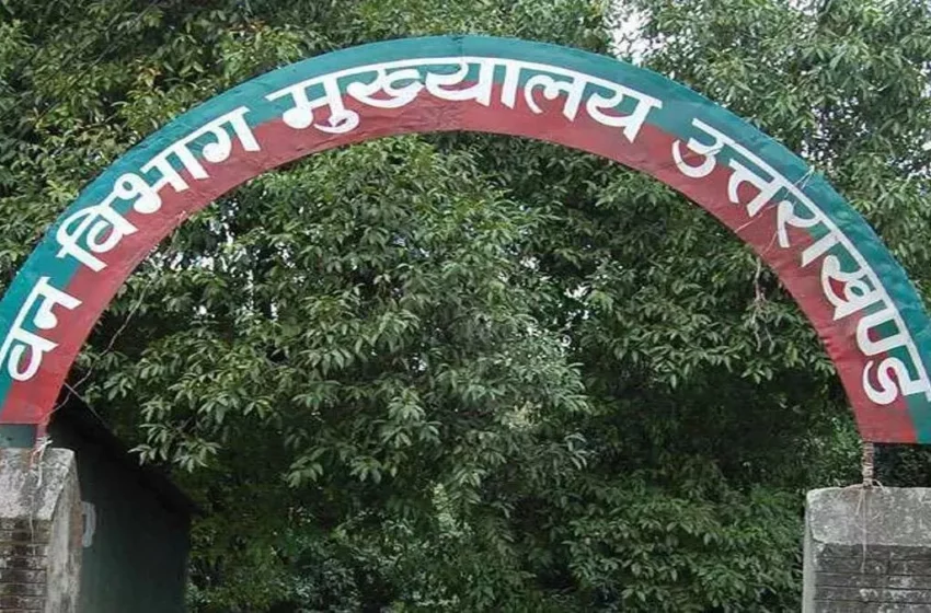  उत्तराखंड वन विभाग में हुई करोड़ों की हेरा-फेरी, वन मंत्री ने दिए जांच के आदेश