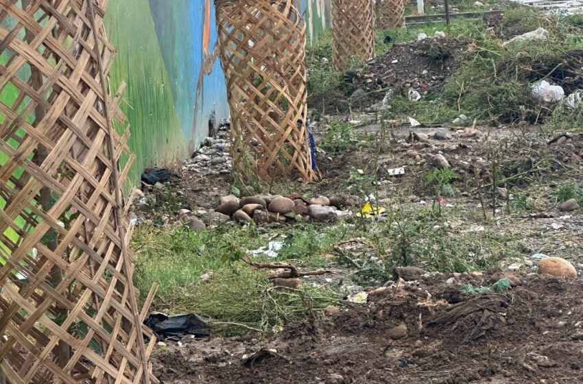  जिलाधिकारी श्रीमती सोनिका के निर्देशन में ‘हरित देहरादून पहल’ के अन्तर्गत वृक्षारोपण कार्यक्रम किया जा रहा है।