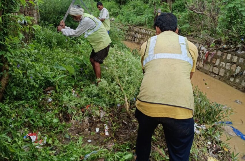  जिलाधिकारी श्रीमती सोनिका ने नगर निगम, नगर पालिका परिषद के अधिकारियों को नालों, नालियों की सफाई के निर्देश दिए।
