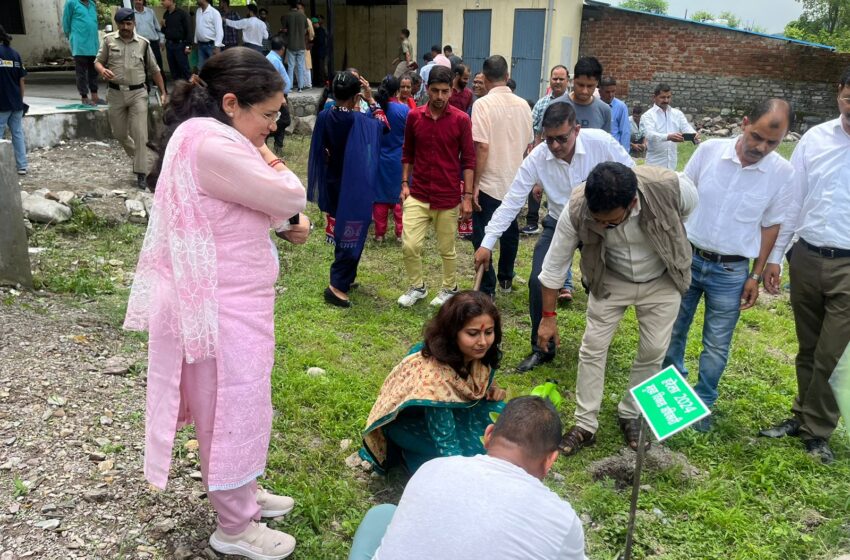  मुख्य विकास अधिकारी सुश्री झरना कमठान ने आज हरेला के अवसर पर वृक्षारोपण किया।