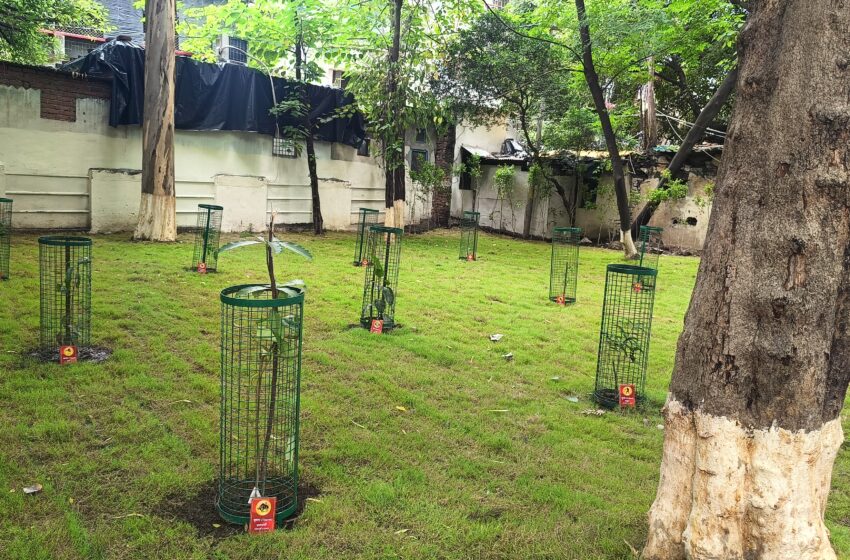  जिलाधिकारी ने कहा कि प्रशासन की यही प्रयास है कि सरकारी भूमि का अतिक्रमण मुक्त रखा जाए।