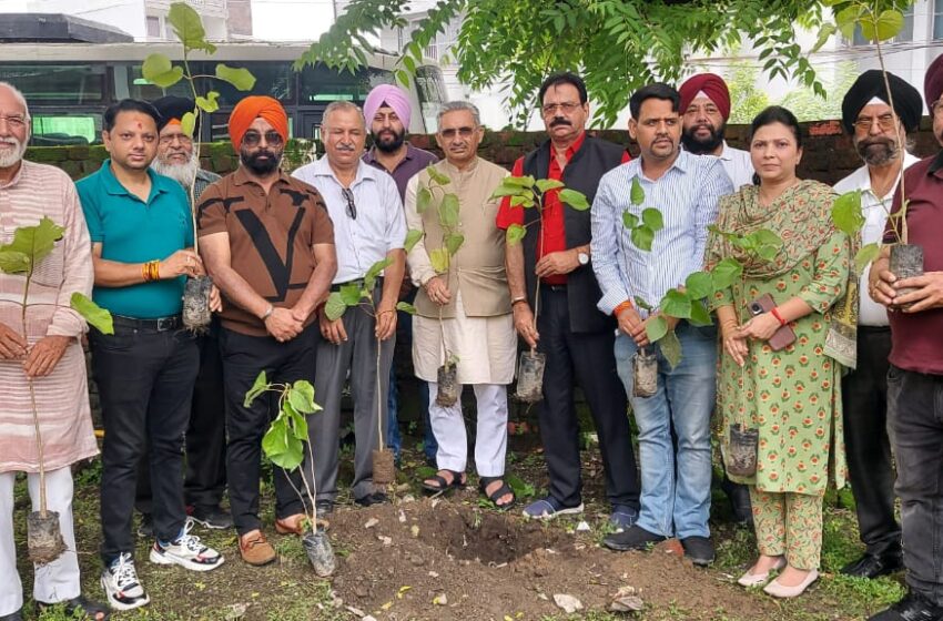  निर्वित मान पार्षद देवेन्द्र पाल सिंह मोंटी ने हरेला के अवसर पर वृक्षारोपण किया।
