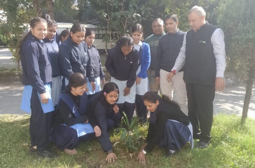  स्वर्गीय श्री रमेश कुमार वर्मा जी की पांचवीं पुण्यतिथि पर वृक्षारोपण किया गया।