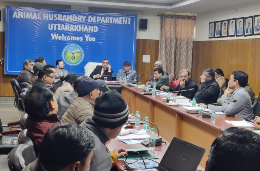  पशुधन निदेशालय मौथोरोवाला में निदेशक पशुपालन विभाग डॉ नीरज सिंघल की अध्यक्षता में उत्तराखंड पशुपालन विभाग की विभागीय समीक्षा प्रगति बैठक आयोजित की गई।