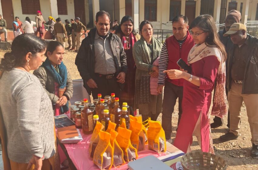  संयुक्त मैजिस्ट्रेट कालसी गौरी प्रभात की अध्यक्षता में कालसी के प्रांगण में सुशासन सप्ताह के अंतर्गत बहुदेशीय शिविर का आयोजन किया।