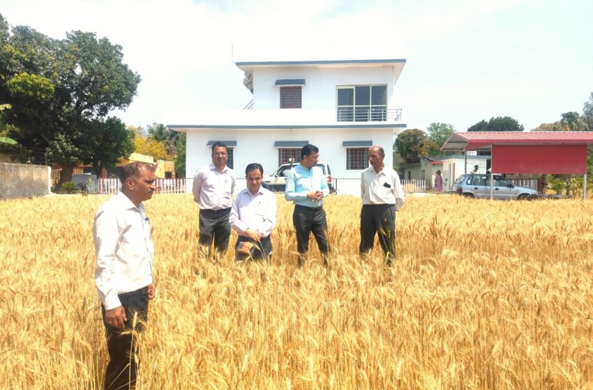 अपर जिलाधिकारी (प्रशासन) ने काश्तकार के खेत में जाकर फसल गेहूं के फसल कटाई प्रयोग का निरीक्षण किया।