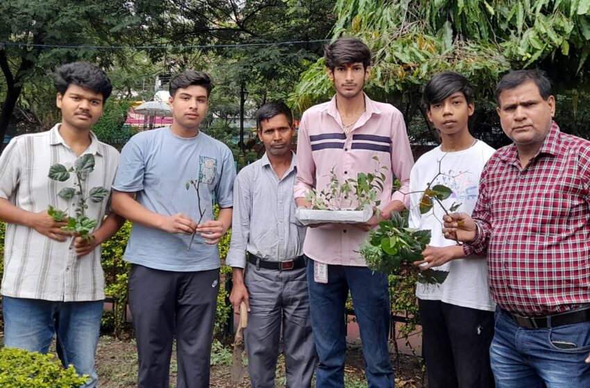  उत्तराखंड सामाजिक सम्मान सेवा ट्रस्ट के जिला अध्यक्ष शिवम भट्ट के नेतृत्व में विश्व पर्यावरण दिवस पर गांधी पार्क में पौधारोपण किया।