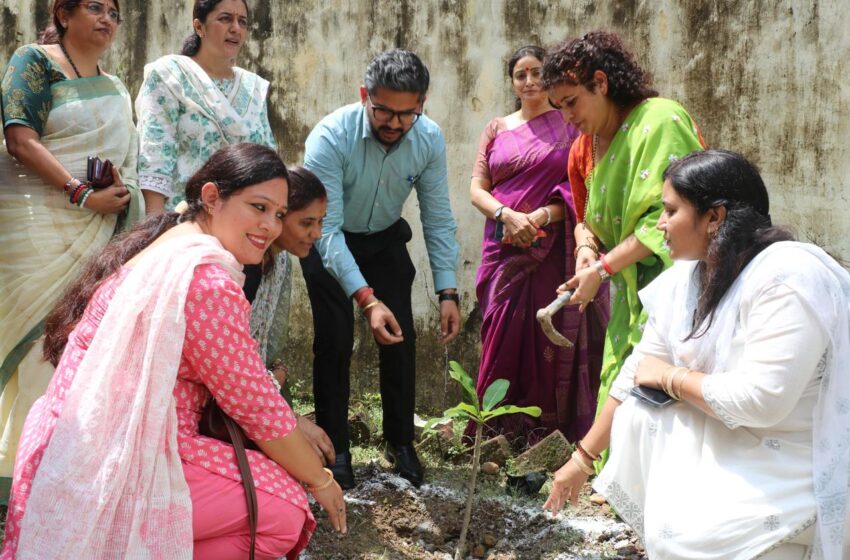  नारी निकेतन और बाल गृह में मुख्य विकास अधिकारी अभिनव शाह ने पर्वतीय मैदानी एकता समिति द्वारा एक पेड़ माँ के नाम पौधा रोपा।
