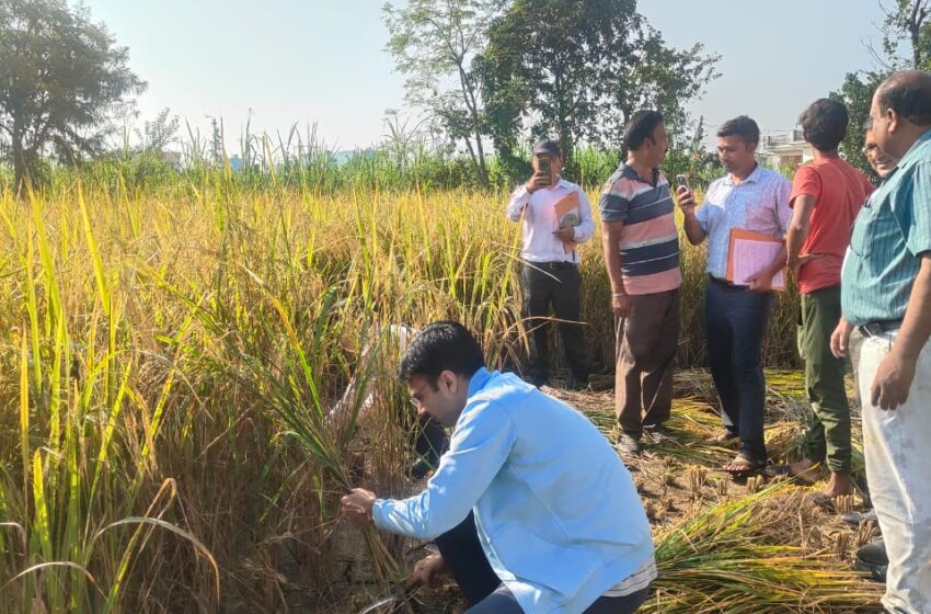 सुबह-सुबह किसान बन जिलाधिकारी सविन बंसल पहुंचे धान के खेत।