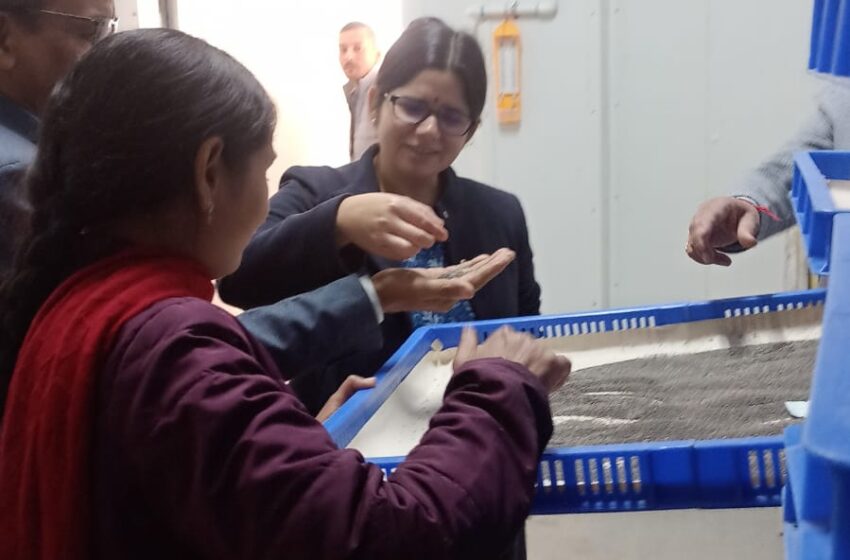  महानिदेशक, कृषि एवं उद्यान, उत्तराखण्ड शासन श्रीमती वंन्दना द्वारा रेशम निदेशालय प्रेमनगर देहरादून का निरीक्षण किया गया।