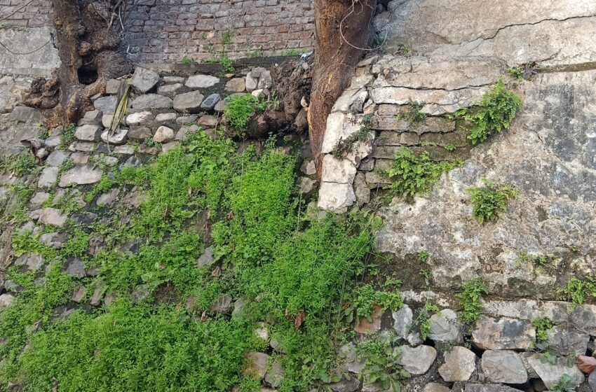  वार्ड 17 चक्कुवाला में पोस्ट ऑफिस कालोनी की दीवार लगातार हो रही हैं धाराशाही।