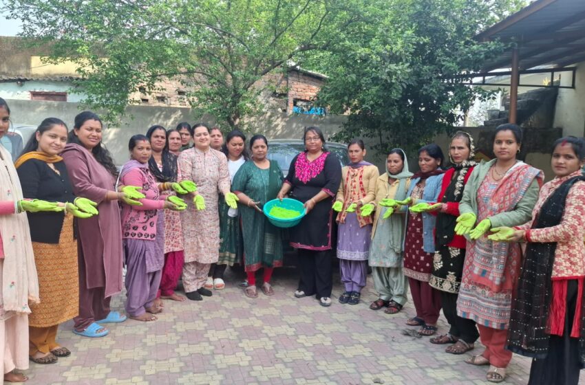  ग्रामीण महिलाओं के हर्बल रंगों से महकेगी होली, घर-घर बिखरेगी खुशियों की बहार।